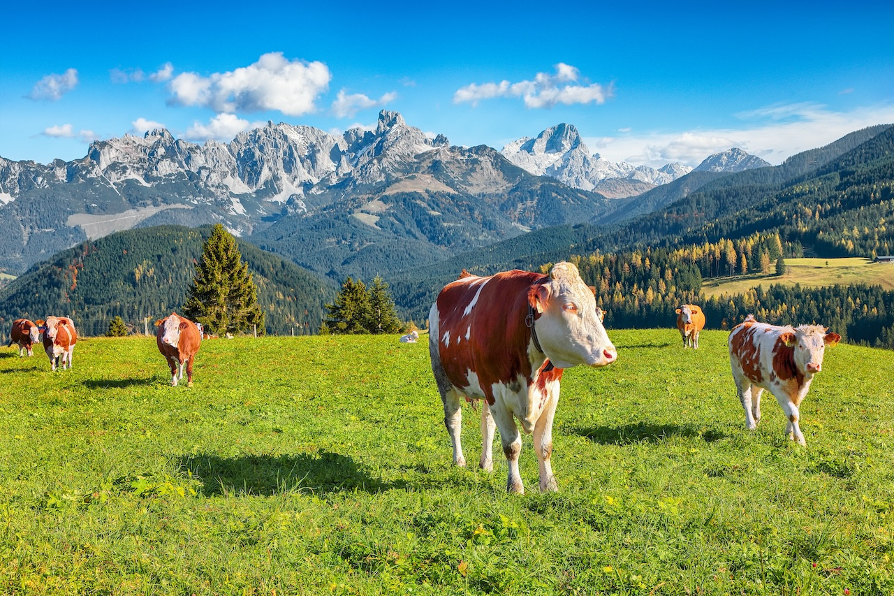 발리 웰니스 리트릿 200% 활용법: 100만원 이하부터 500만원 이상까지, 숨 쉴 틈 없는 당신을 위한 가격 로드맵